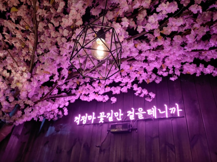 분위기 좋은 경희대 술집/회기 술집. 꽃술 분위기 좋은 경희대 술집/회기 술집. 꽃술