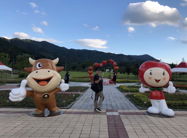  장수축제 한우랑 사과랑 다양한 체험과 즐길거리 장수누리파크