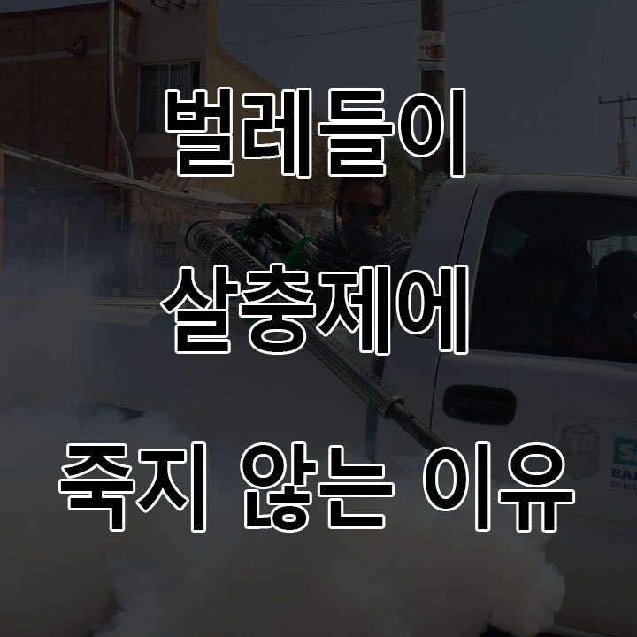  파리 모기가 살충제에 죽지 않는 이유는? 해충들의 살충제 면역력