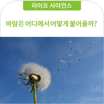  [라이프 사이언스] 바람은 어디에서 어떻게 불어올까?
