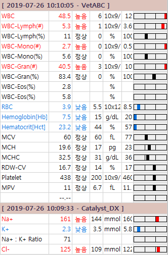 강아지 췌장염, 단백소실성장병증(PLE, IBD), 쿠싱(부신피질기능항진증), 용인24시동물병원