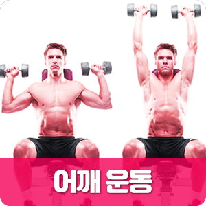  어깨 운동일지