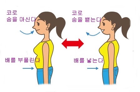  [봉천한의원 임재현원장님] 내 몸의 만병통치약, '복식호흡'으로 체형 바르게 하기