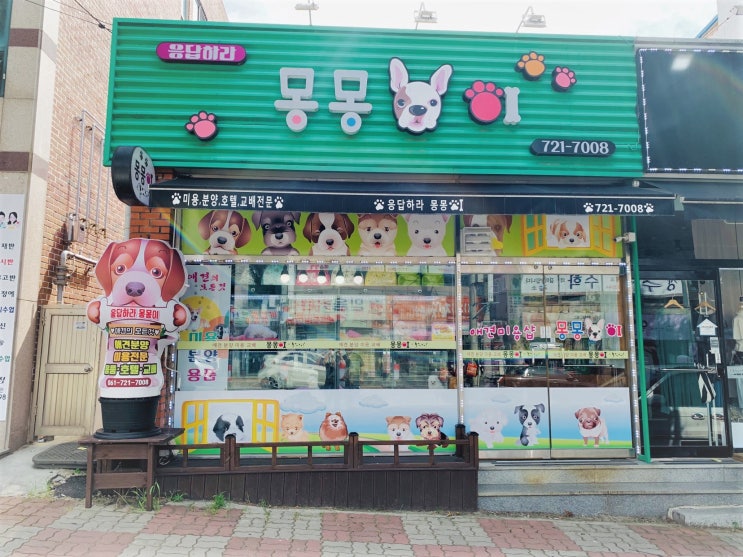  순천강아지분양 믿을만한 곳에서 받았어요!
