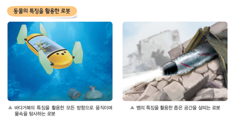 동물의 특징을 활용한 예: 자연과 조화를 이룬 디자인 아이디어 3학년2학기과학> 동물의 특징을 생활에 어떻게 활용하며, 동물의 특성 활용한 물건 및 로봇 설계하기 : 네이버 블로그” style=”width:100%” title=”3학년2학기과학> 동물의 특징을 생활에 어떻게 활용하며, 동물의 특성 활용한 물건 및 로봇 설계하기 : 네이버 블로그”><figcaption>3학년2학기과학> 동물의 특징을 생활에 어떻게 활용하며, 동물의 특성 활용한 물건 및 로봇 설계하기 : 네이버 블로그</figcaption></figure>
<figure><img decoding=