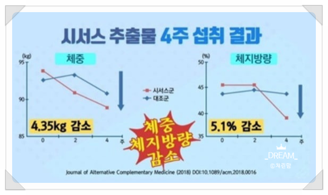  3대 비만호르몬 조절해주는 시서스 가루 효능 + 부작용