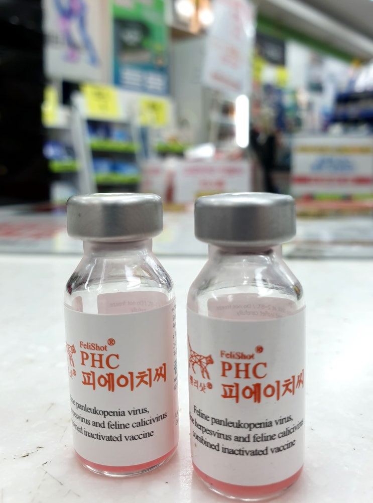  [인천 고은동물약국] 고양이 자가예방접종 3종 백신 「펠리샷 PHC」 부천 시흥