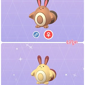 포켓몬GO 꼬리선 이로치 + 다꼬리 이로치