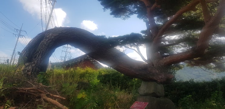  11. 데이터교 (1)