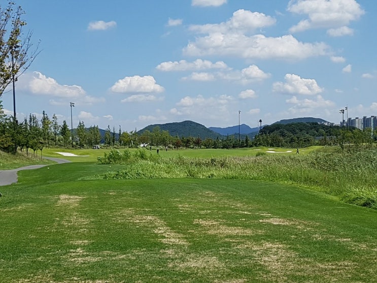  솔트베이CC 라운딩후기