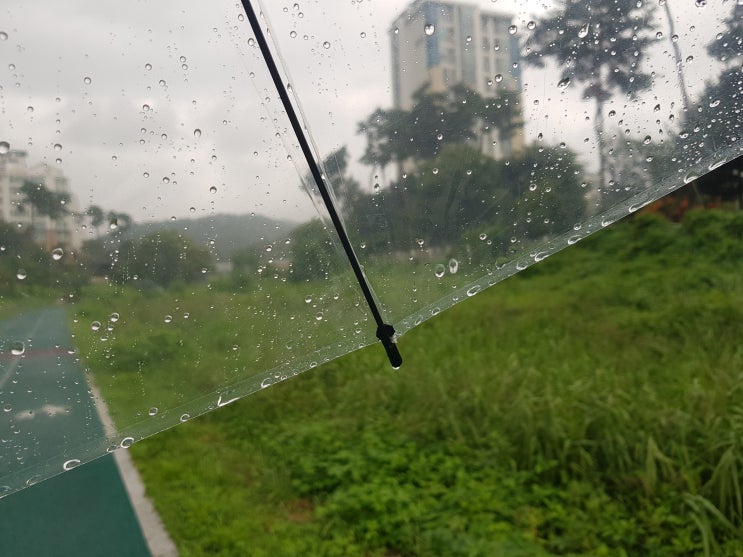 따스한 비닐우산