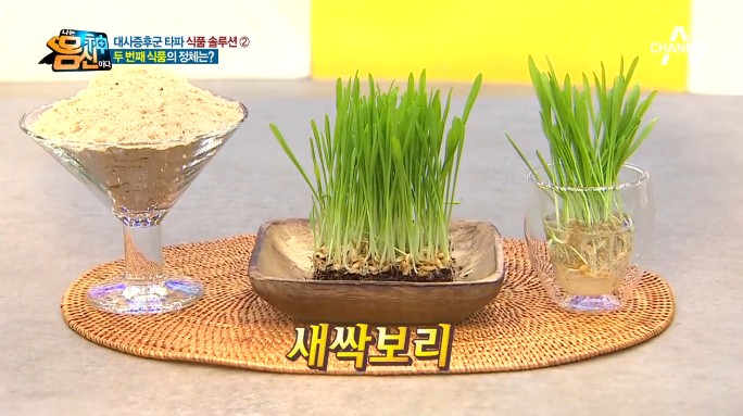  [나는 몸신이다 243회] 죽음의5중주 대사증후군 타파 터치터치운동과 새싹보리밥