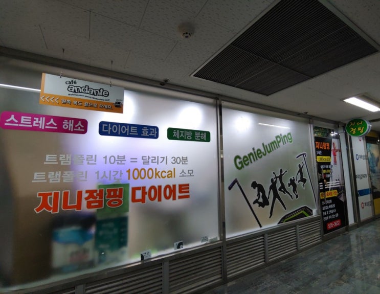  내동점핑 지니점핑오픈 복수동점핑운동 대전서구점핑 대전허벌라이프 복수동점핑다이어트