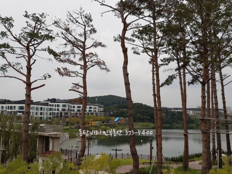  동탄2신도시 동탄호수공원 포레스트 쌀국수 맛집