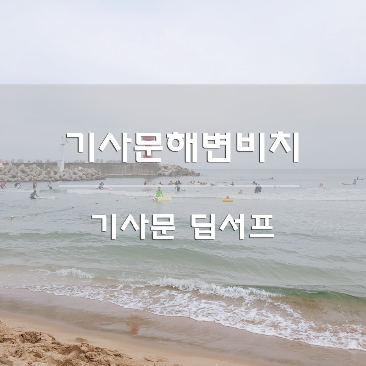  강원도 양양:) 기사문해수욕장 비치 짱짱 / 딥서프 [DEEP SURF] 카페 짱짱