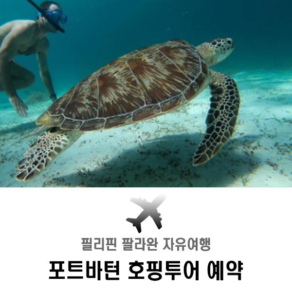  필리핀 팔라완 자유여행 포트바튼(포트바톤) 호핑투어 추천!