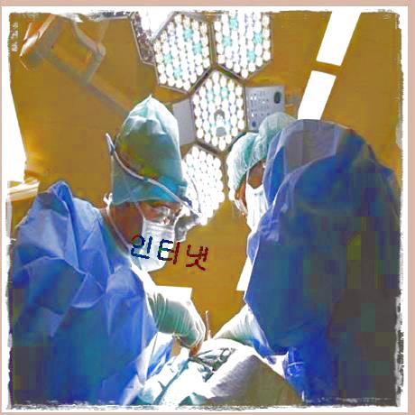  암생명보험  확실한check