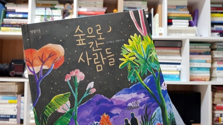  숲으로 간 사람들 / 안지혜 / 창비