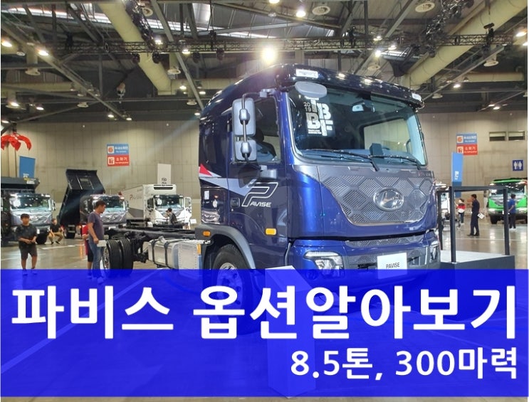  현대자동차 파비스 옵션알아보기 -②편