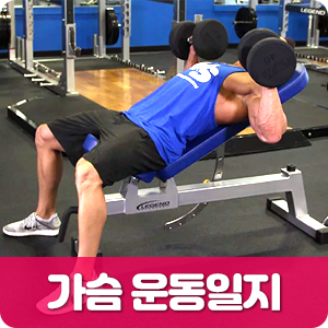  가슴 운동일지