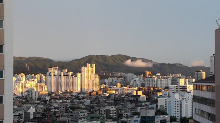  이건 꼭 보라고?!!
