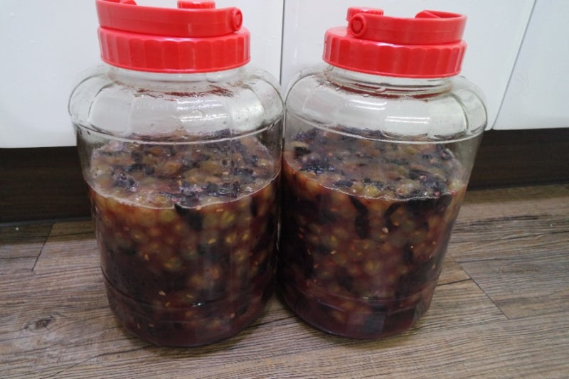 포도주 담그는 법/ 포도주 담그기