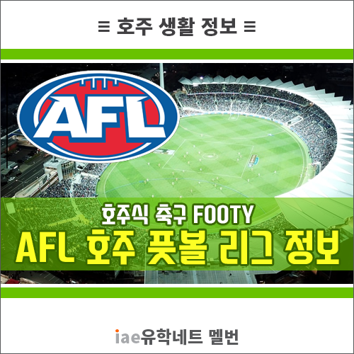 [멜버른 생활 정보] AFL(Australian Football League) 정보 총정리 / 호주 국민 스포츠 Footy(호주식 축구) 경기 규칙, 일정, 티켓비용