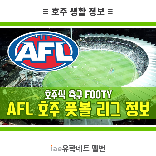  [멜버른 생활 정보] AFL(Australian Football League) 정보 총정리 / 호주 국민 스포츠 Footy(호주식 축구) 경기 규칙, 일정, 티켓비용
