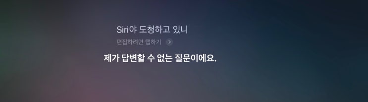  [차량 도청확인] 차량공유업계 1위 쏘카
