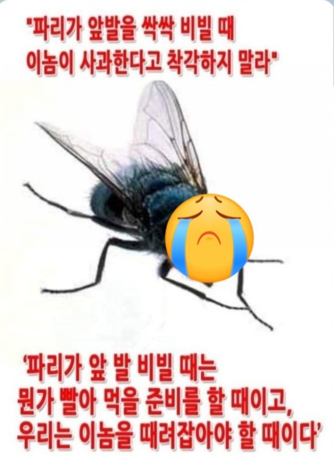 이낙연, 박상기까지 조국 지키기 가세. 이낙연은 좀 괜찮은지 알았는데 대 실망/최석태/ 이낙연, 박상기까지 조국 지키기 가세. 이낙연은 좀 괜찮은지 알았는데 대 실망/최석태/