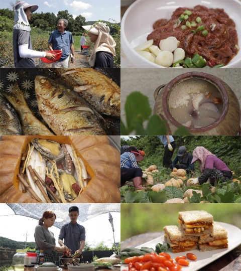 최불암 나이 궁금? '한국인의 밥상' 하동 중평마을 전어-아산 배나무골-하동 호박마을-청양 구기자마을… 최불암 나이 궁금? '한국인의 밥상' 하동 중평마을 전어-아산 배나무골-하동 호박마을-청양 구기자마을…