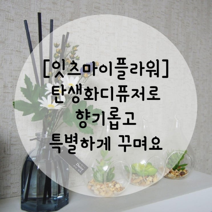  [잇츠마이플라워] 추석선물로 탄생화 디퓨저추천 해요 :-) 탄생화 알아보기 . 꽃디퓨저. 예쁜디퓨저