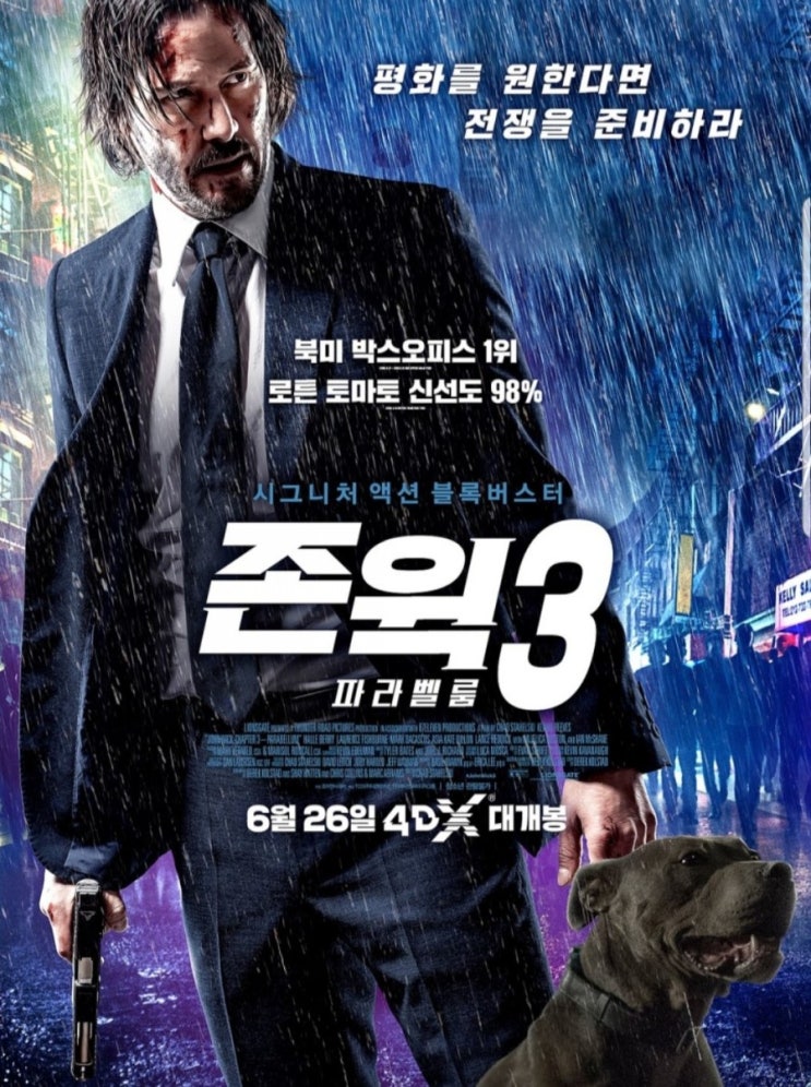  [일상로그]늦어버린 휴가