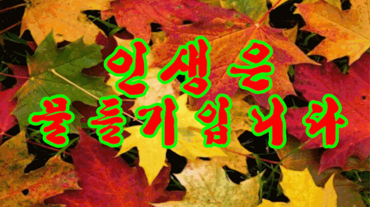  인생은 물들기입니다
