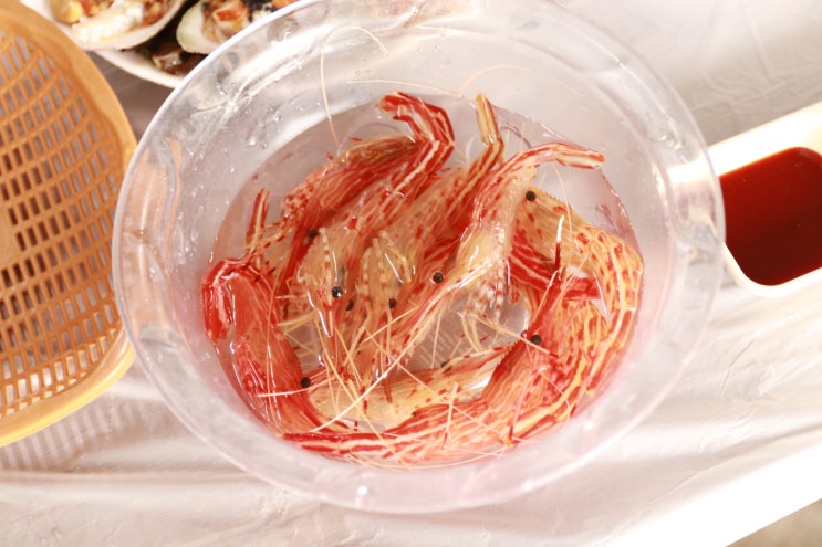  속초 생새우 제철엔 감동의 맛이다~
