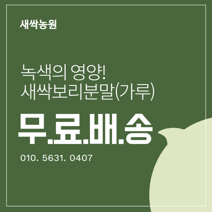  녹색 영양 새싹보리 분말 효능 및 먹는 법[보리새싹가루 파는곳]