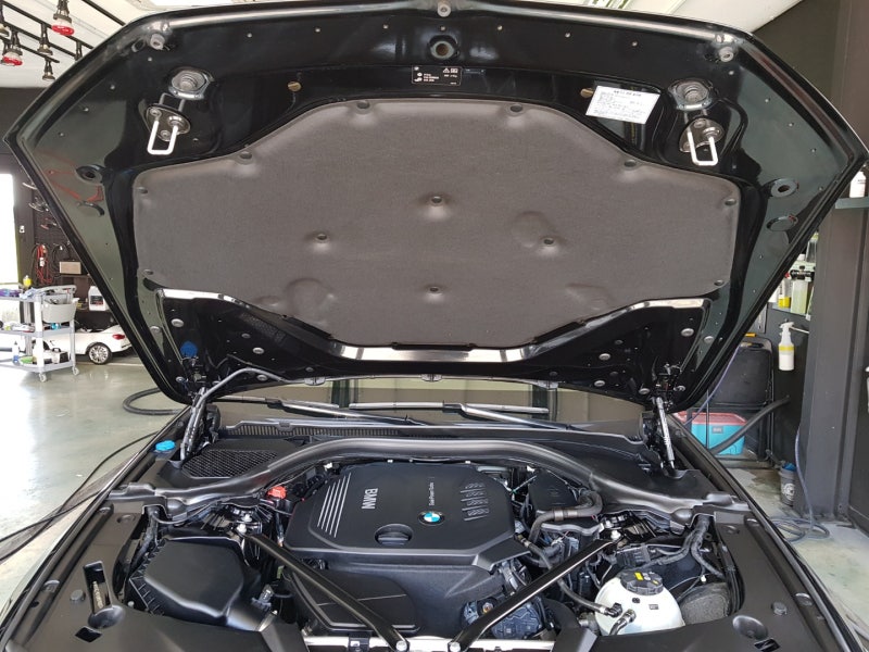 오산 수목원로 / 코팅 / BMW / 5시리즈