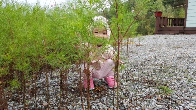  농부아내랑 새봄이의 8월이야기