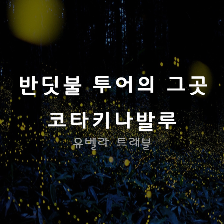 [대구출발] 코타키나발루 3박4일 2박4일 패키지 자유여행 / 에어부산