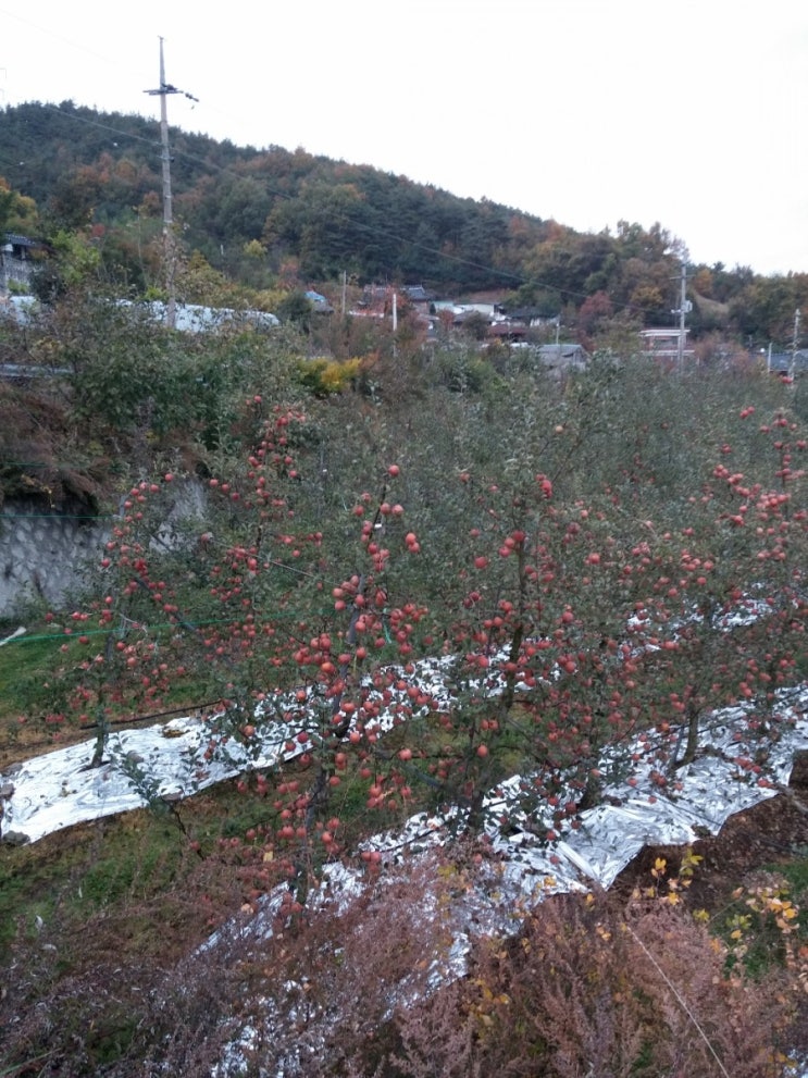  가을장마