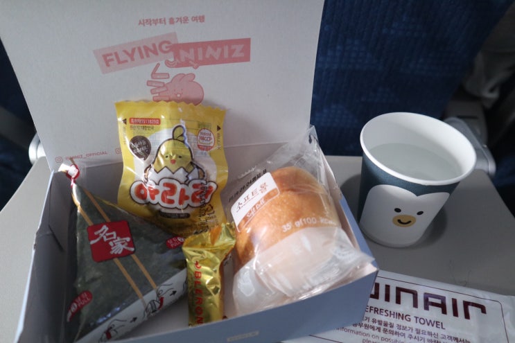  괌 자유여행의 시작! 부산 출발 진에어 괌 기내식, 수화물 규정