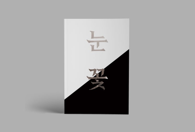  포토폴리오 (34) 눈 꽃