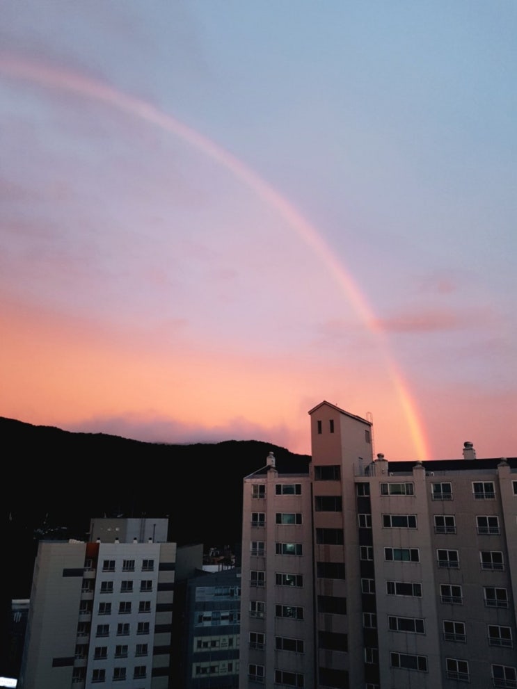  무지개