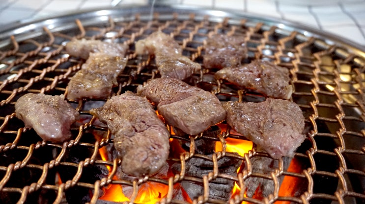  용인 김남희한우 애견동반식당 용인한우