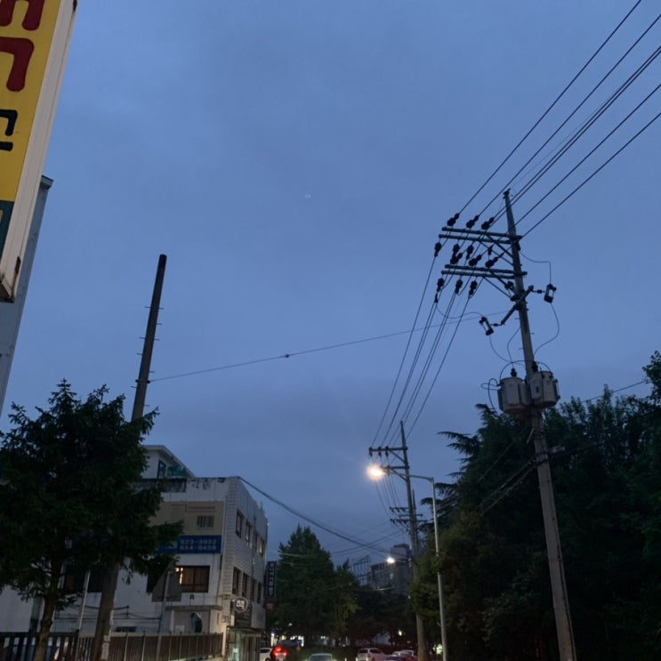  2019 09 05 모의고사 친날