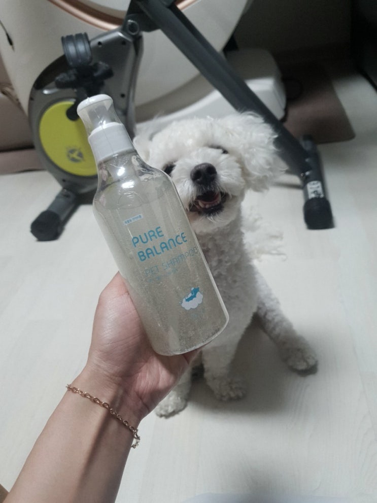  퓨어프렌즈 강아지샴푸: 린스가 필요 없는 천연샴푸