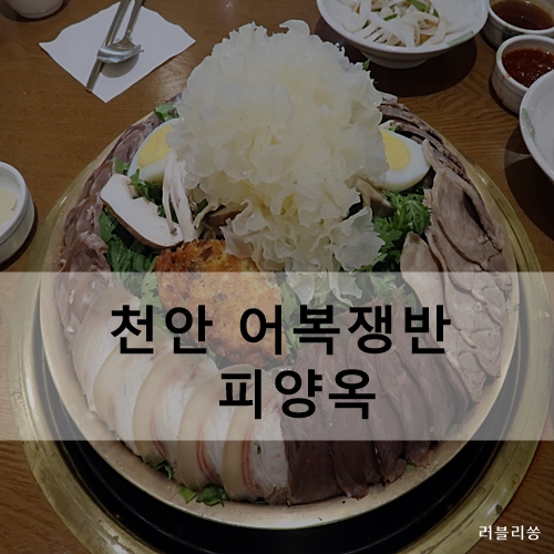  천안 어복쟁반과 평양냉면을 맛볼 수 있는 피양옥