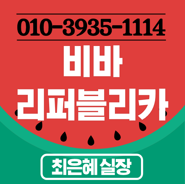 비바리퍼블리카비바리퍼블리카주식비바리퍼블리카장외주식