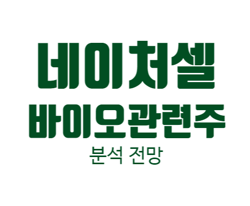  네이처셀 | 주가 주식 전망 | 바이오 관련주 속보 | 투자 주의점