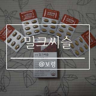  밀크씨슬 영양제로 이젠 몸 챙길때! 보령